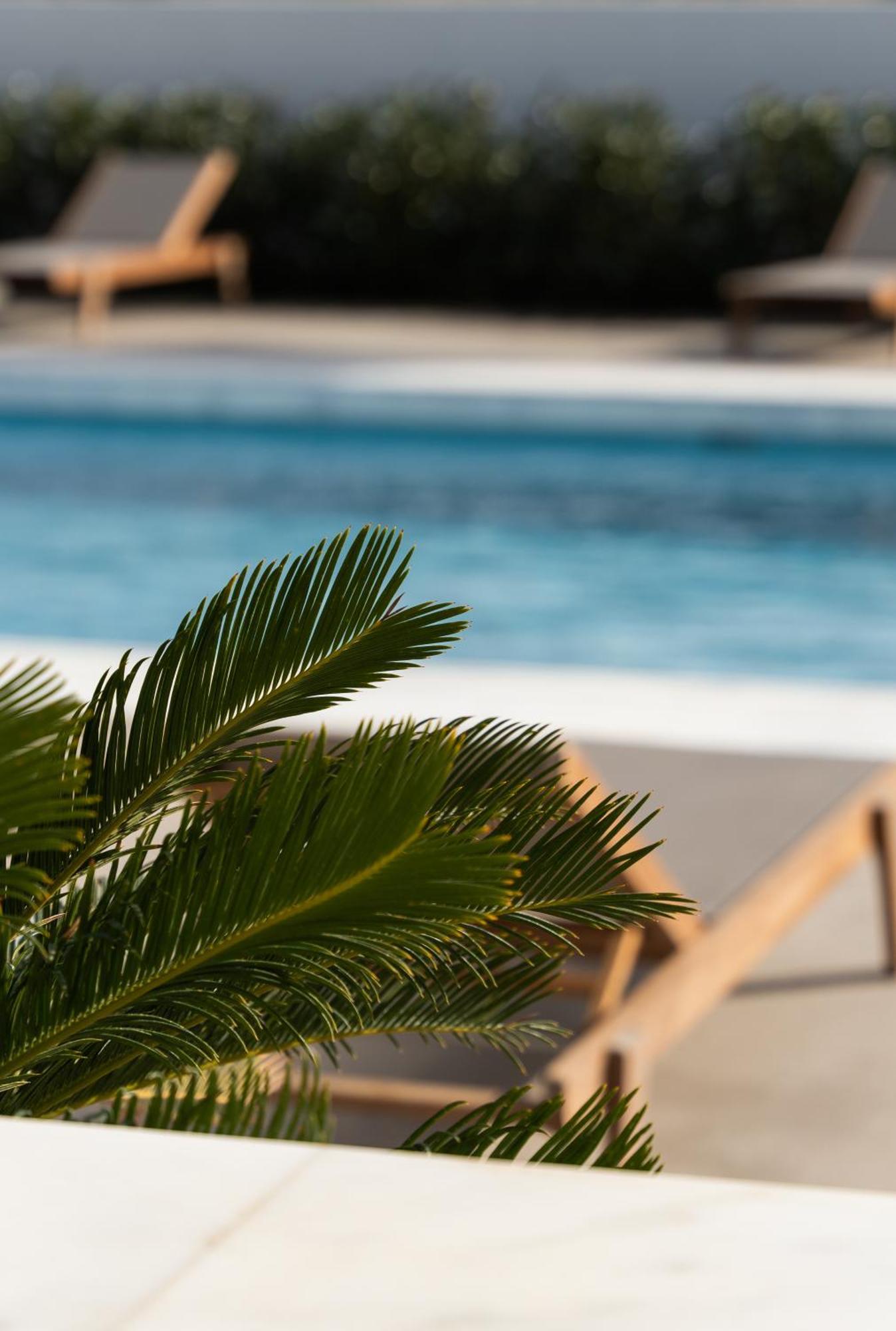Tzanis Resort Skyros Ngoại thất bức ảnh